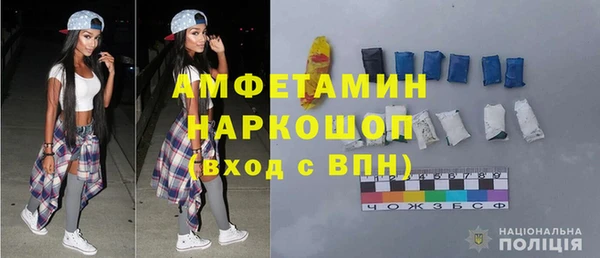 хмурый Алексин