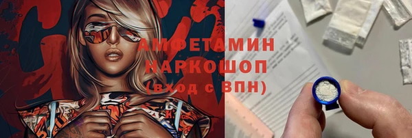 хмурый Алексин