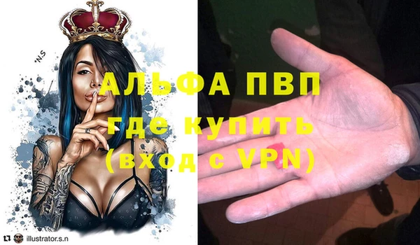 хмурый Алексин