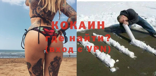 хмурый Алексин