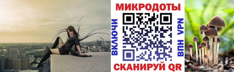 Псилоцибиновые грибы Cubensis где купить дарк нет клад Лянтор